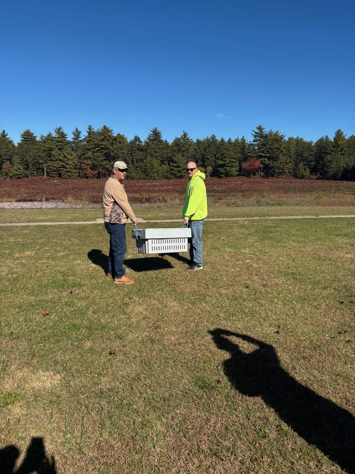Two members carrying a crate of pheasants across the field